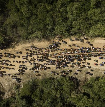 O Formigueiro Humano do Pau da Bandeira