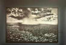 Cais das Artes, novo centro cultural no Espírito Santo, apresenta a mostra Amazônia, de Sebastião Salgado