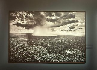 Cais das Artes, novo centro cultural no Espírito Santo, apresenta a mostra Amazônia, de Sebastião Salgado