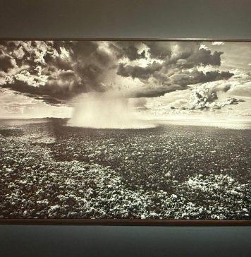 Cais das Artes, novo centro cultural no Espírito Santo, apresenta a mostra Amazônia, de Sebastião Salgado