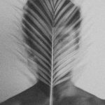 Exposição “1ª Mostra de Imagem em Movimento – MAPA”