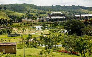 Um século de rupturas e reinvenção